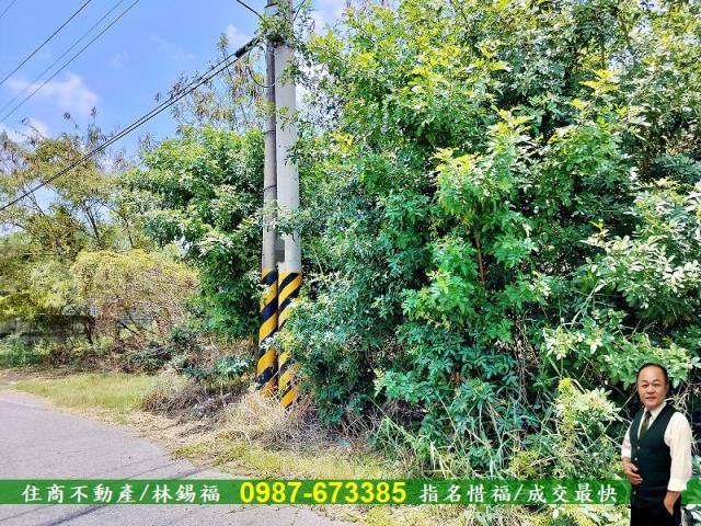 安南農地-4