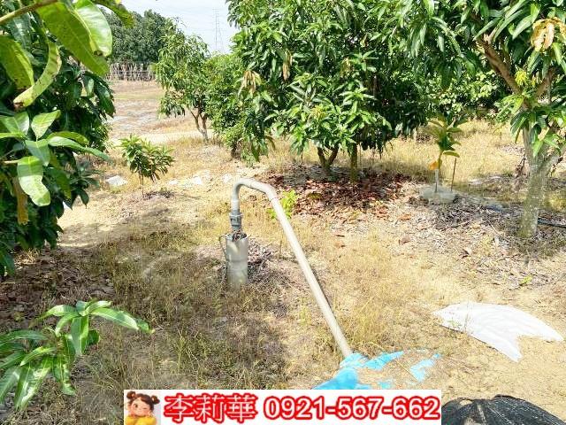 官田農地-10