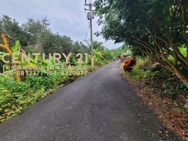 竹山農地-8