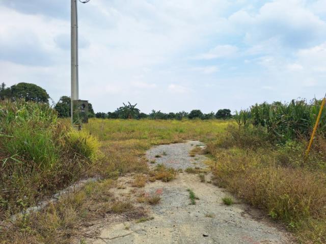 台南官田農地-6