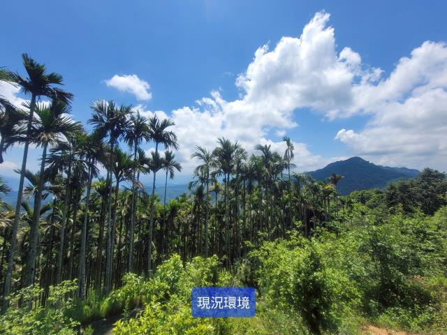 南投國姓農地-3