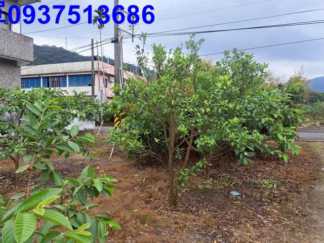 宜蘭農地-2
