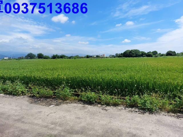 宜蘭農地-3