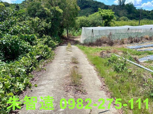 玉井農地-12