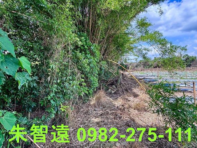 玉井農地-14