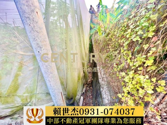 南投農地-3