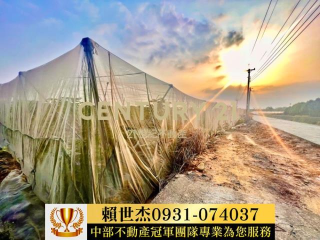南投農地-4