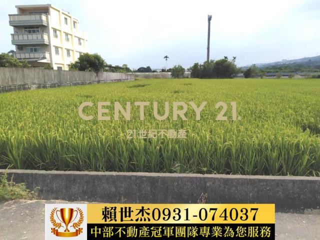 南投農地-15