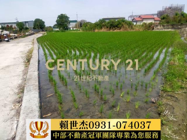 南投農地-2