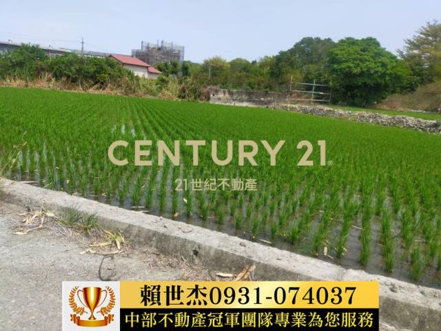 南投農地-3