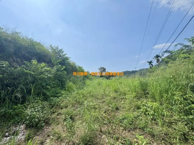 南投南投市農地-3