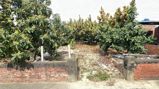 麻豆建地-13