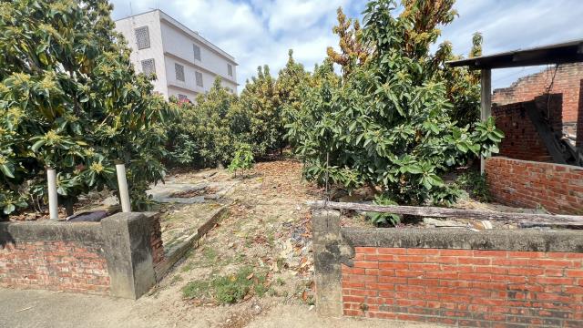 麻豆建地-9