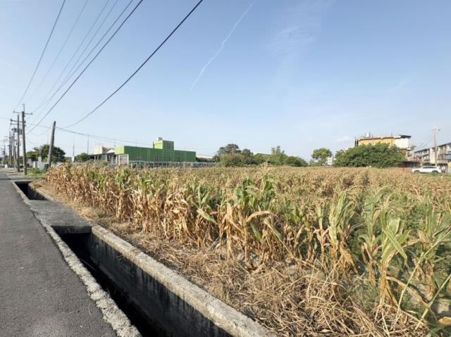台南農地-1