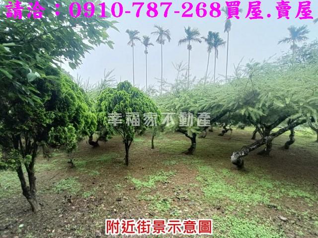 雲林古坑農地-13