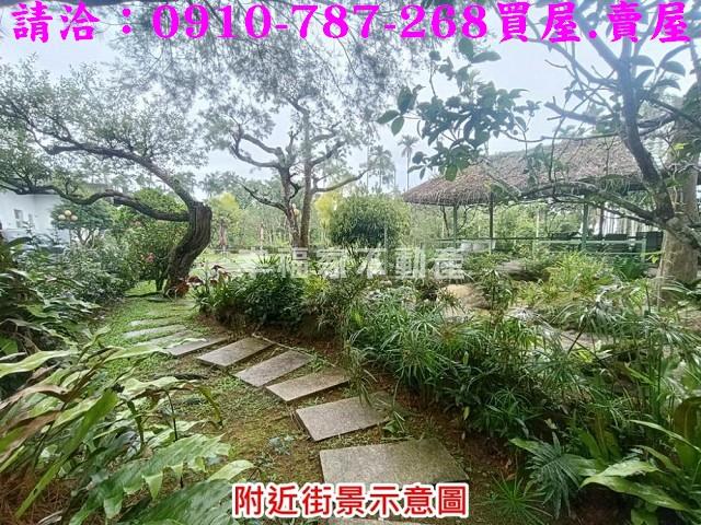 雲林古坑農地-6