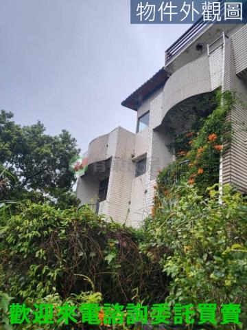 淡水其他-8