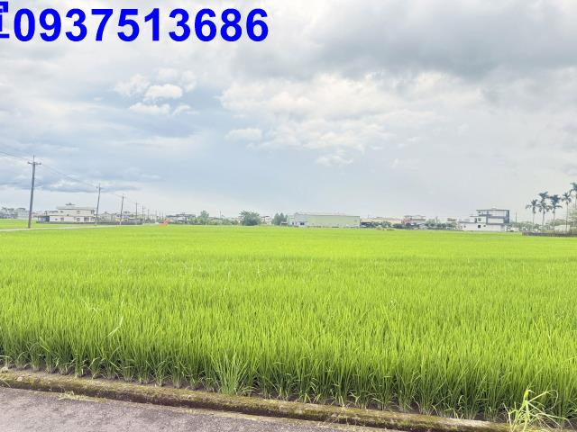 宜蘭礁溪農地-2