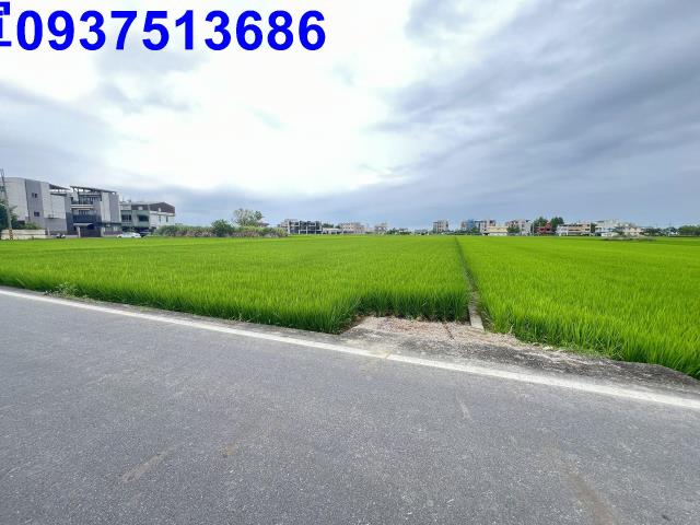 宜蘭礁溪農地-2