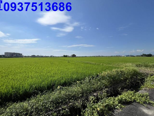 宜蘭壯圍農地-14