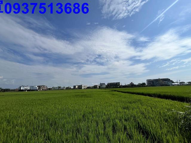 宜蘭壯圍農地-4