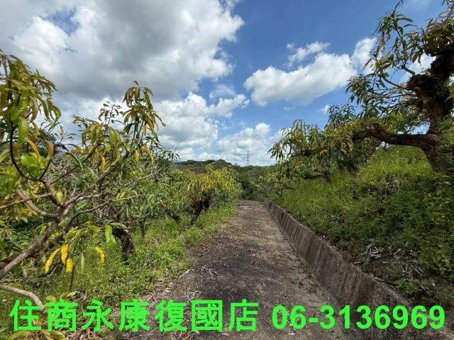 台南玉井農地-4