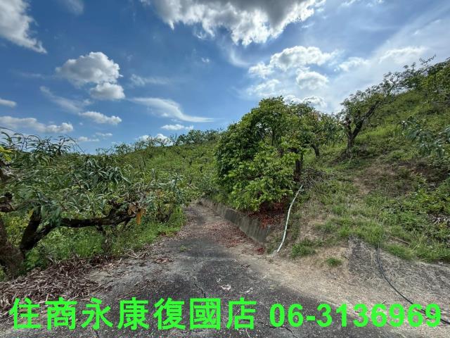 台南玉井農地-5