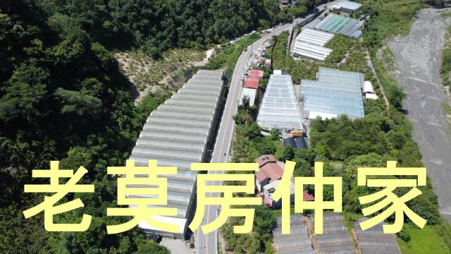 南投仁愛鄉農地-10
