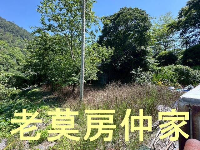 南投仁愛鄉農地-4