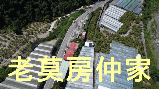 南投仁愛鄉農地-9