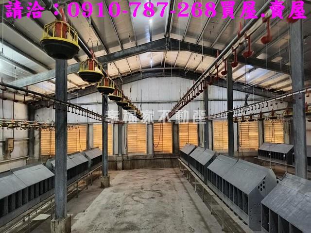 雲林農地-2