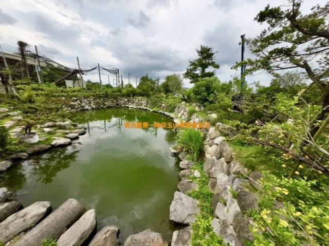 南投農地-9