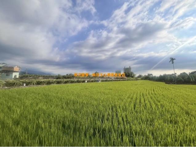 南投竹山農地-1