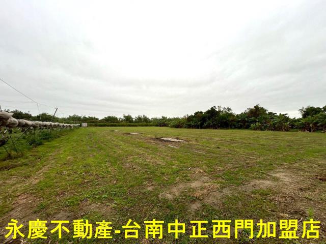 左鎮農地-10