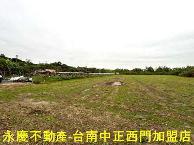 左鎮農地-12