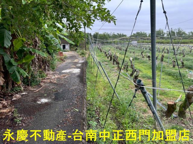 左鎮農地-3