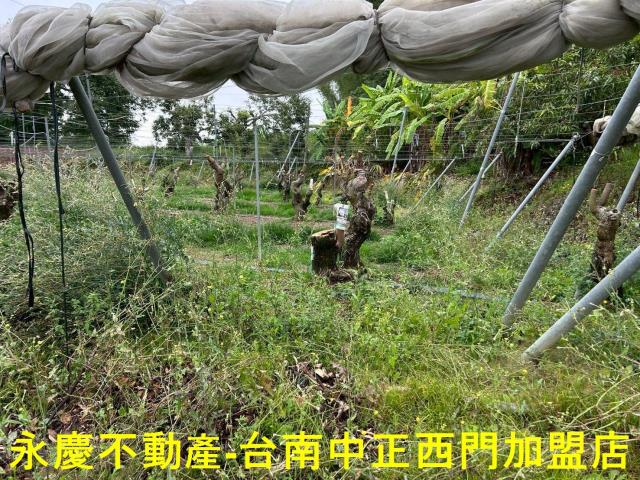 左鎮農地-6
