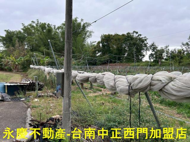 左鎮農地-7