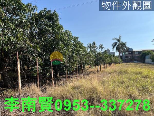 仁德農地-1