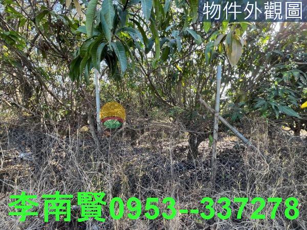 仁德農地-2