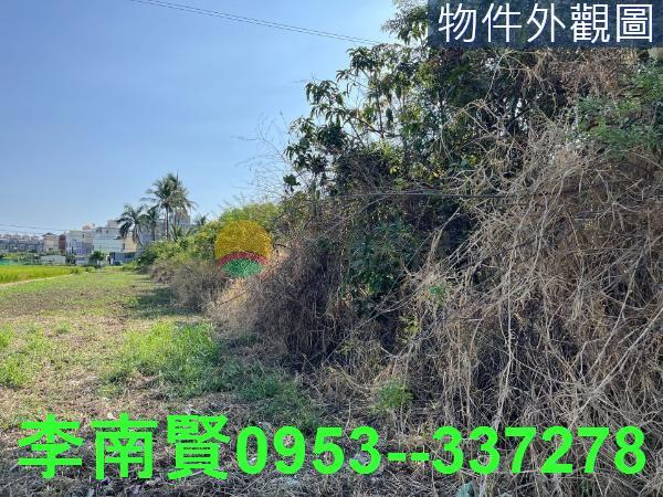 仁德農地-5