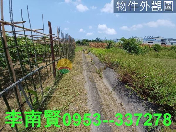 安南農地-4