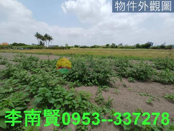 安南農地-5