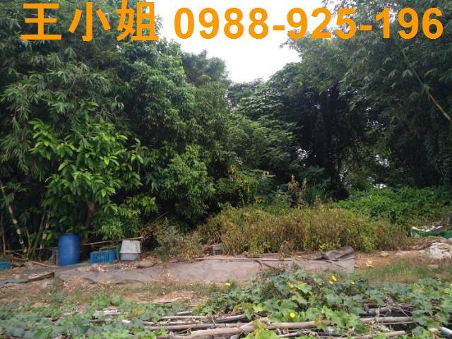桃園農地-1