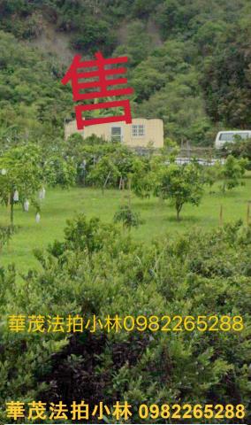 台南農地-14
