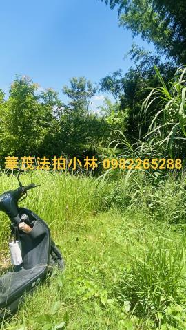台南農地-6