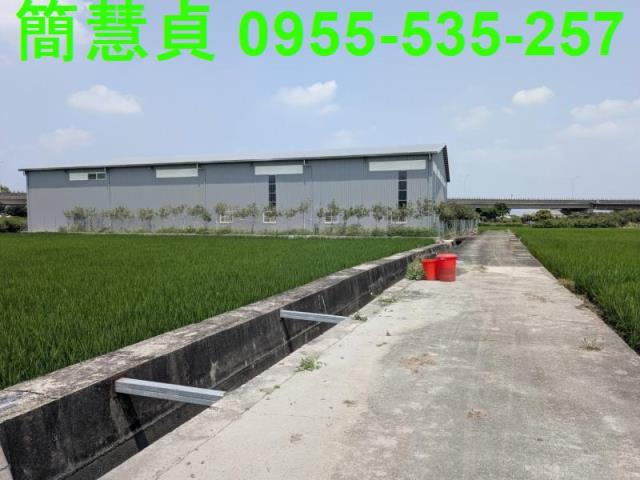 草屯農地-1