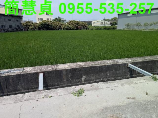 草屯農地-2