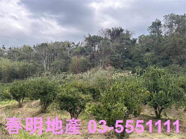 新竹峨眉農地-5