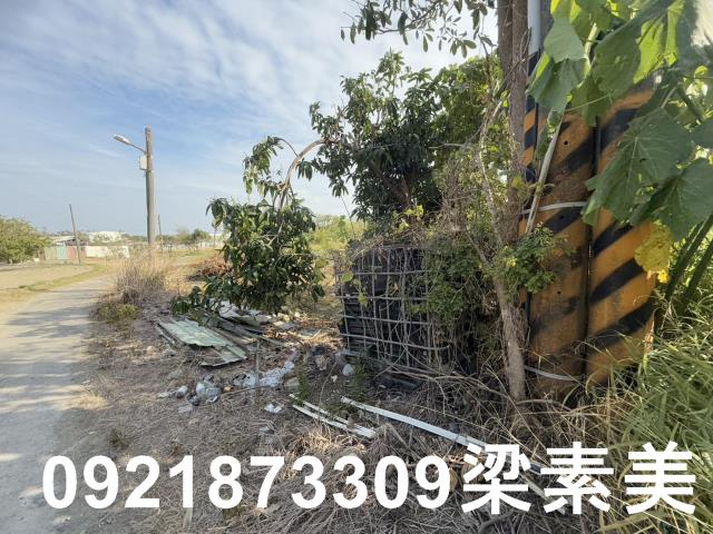 台南南區農地-1